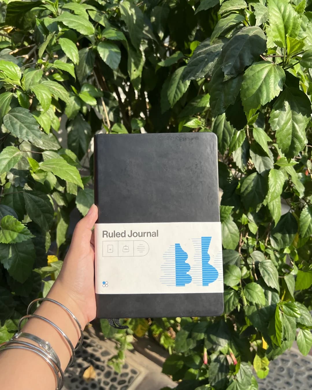 Ruled Journal thumbnail 3